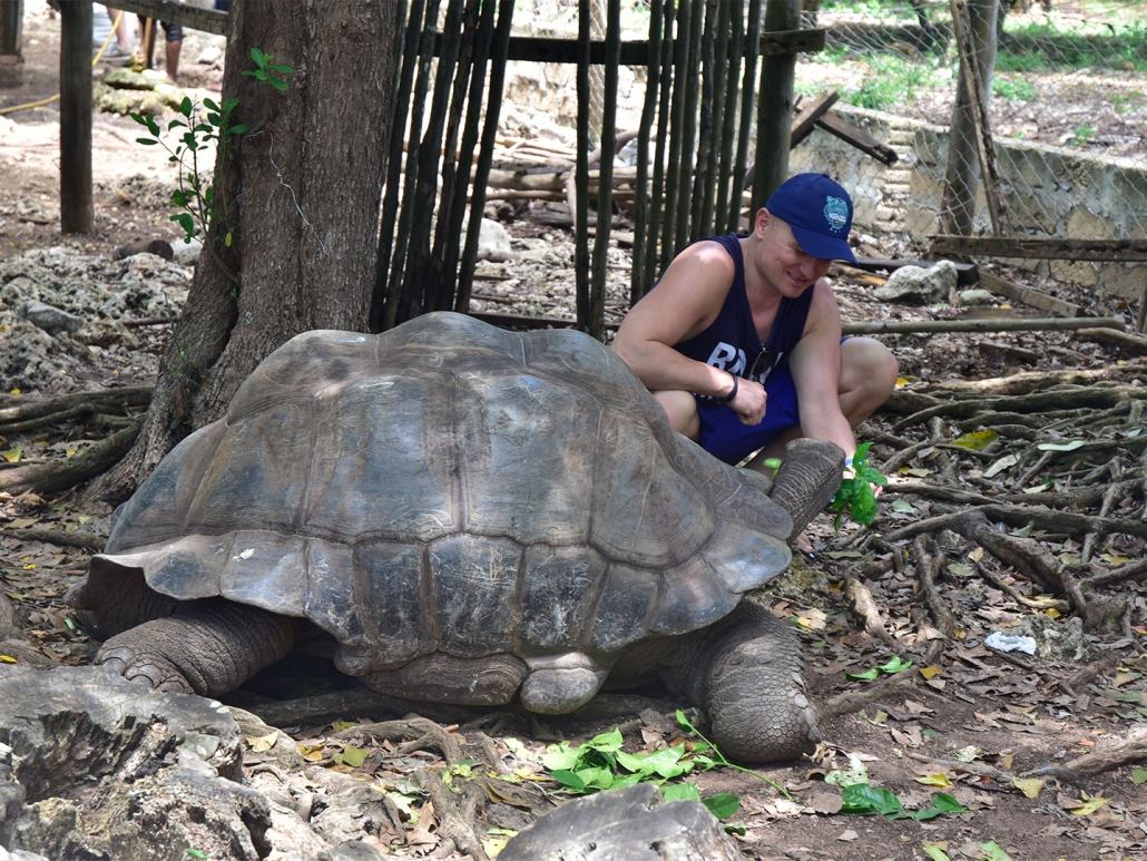 Prison Island & Giant Tortoises - History Meets Nature overview photo 2